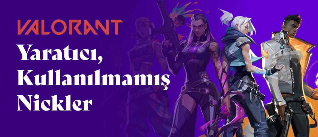valorant-nickler