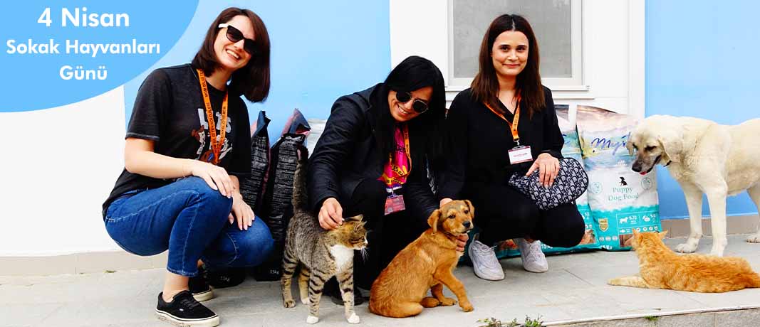 Sokak Hayvanları Gününde Minik Dostlarımızı Ziyaret Ettik