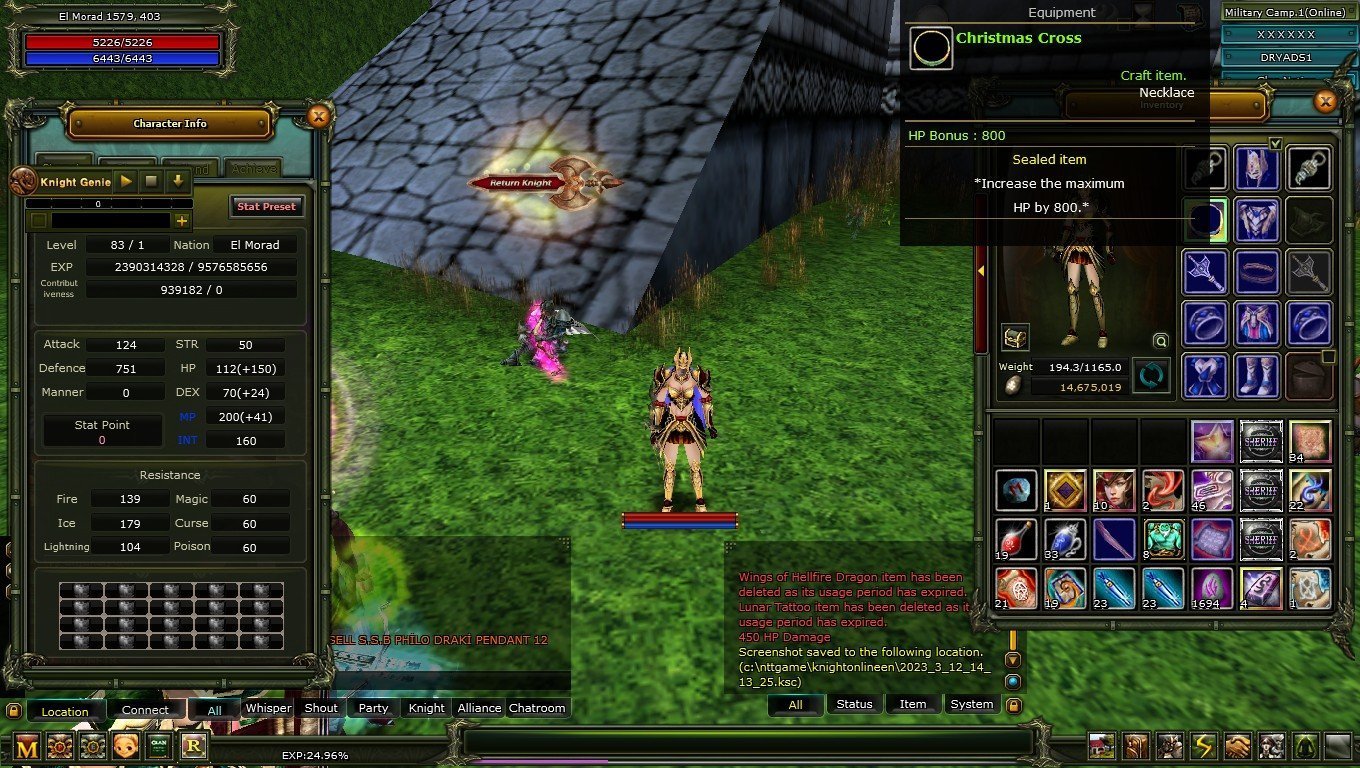 Full itemli mage