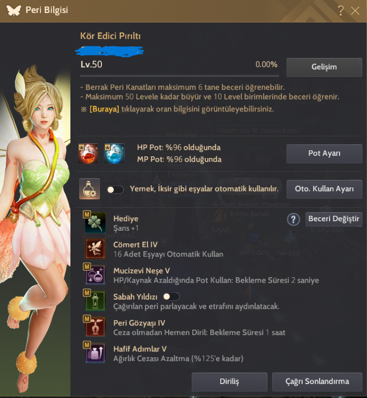 746 GS T10 PEGA GELİŞİM HESABI