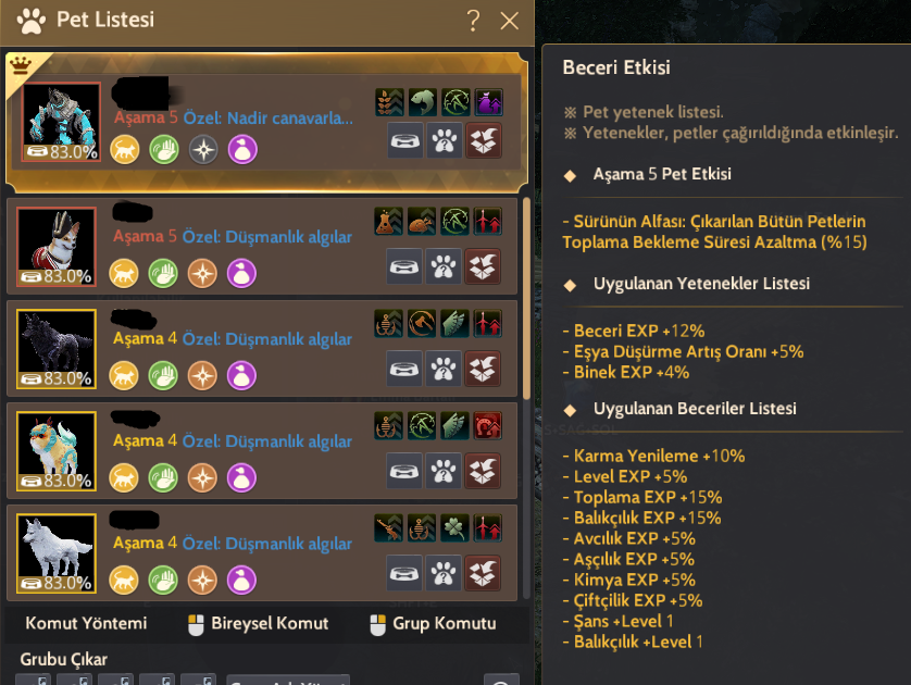 746 GS T10 PEGA GELİŞİM HESABI