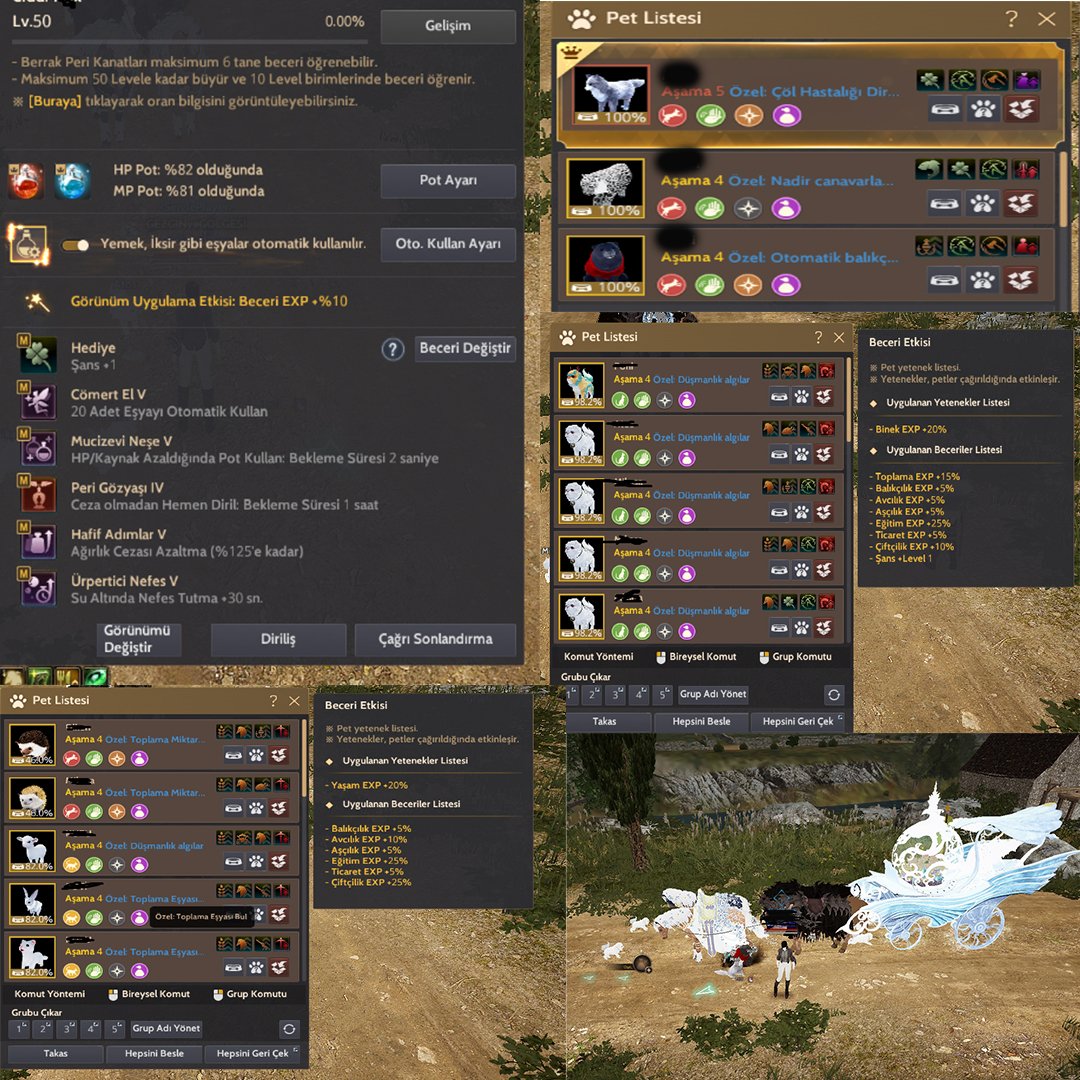 FULL P2W ÜRÜNLERİ PUSULA SINIRSIZ POT VE ARKEOLOG HARİTASI 288 AP 377DP