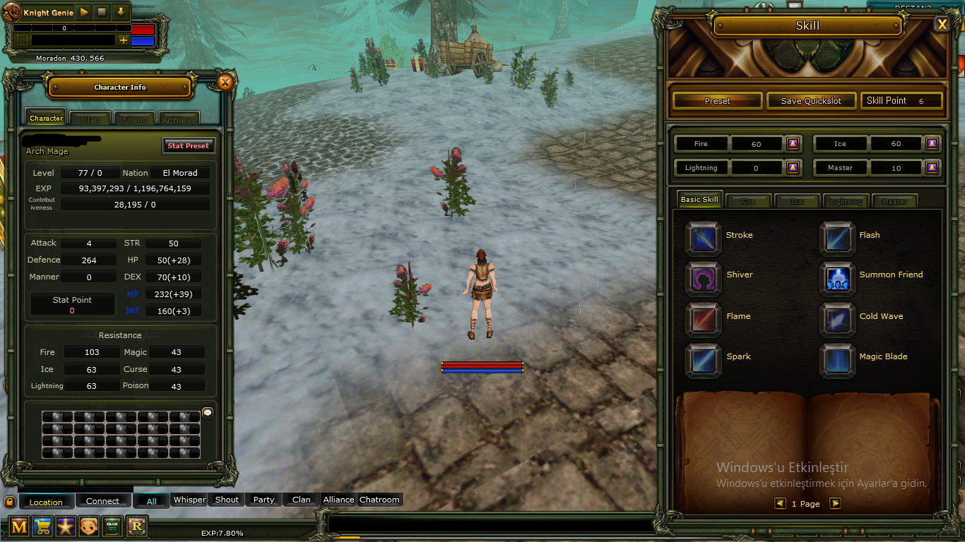 77 LEVEL HUMAN MAGE