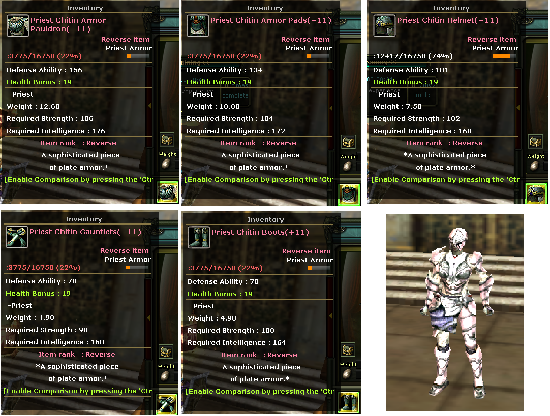 Priest Chitin Armor Set 11 (reverse) (5 Parca)