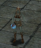 83 level full skill kız mage