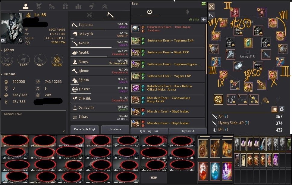 806 GS DOLU P2W EU CLIENT