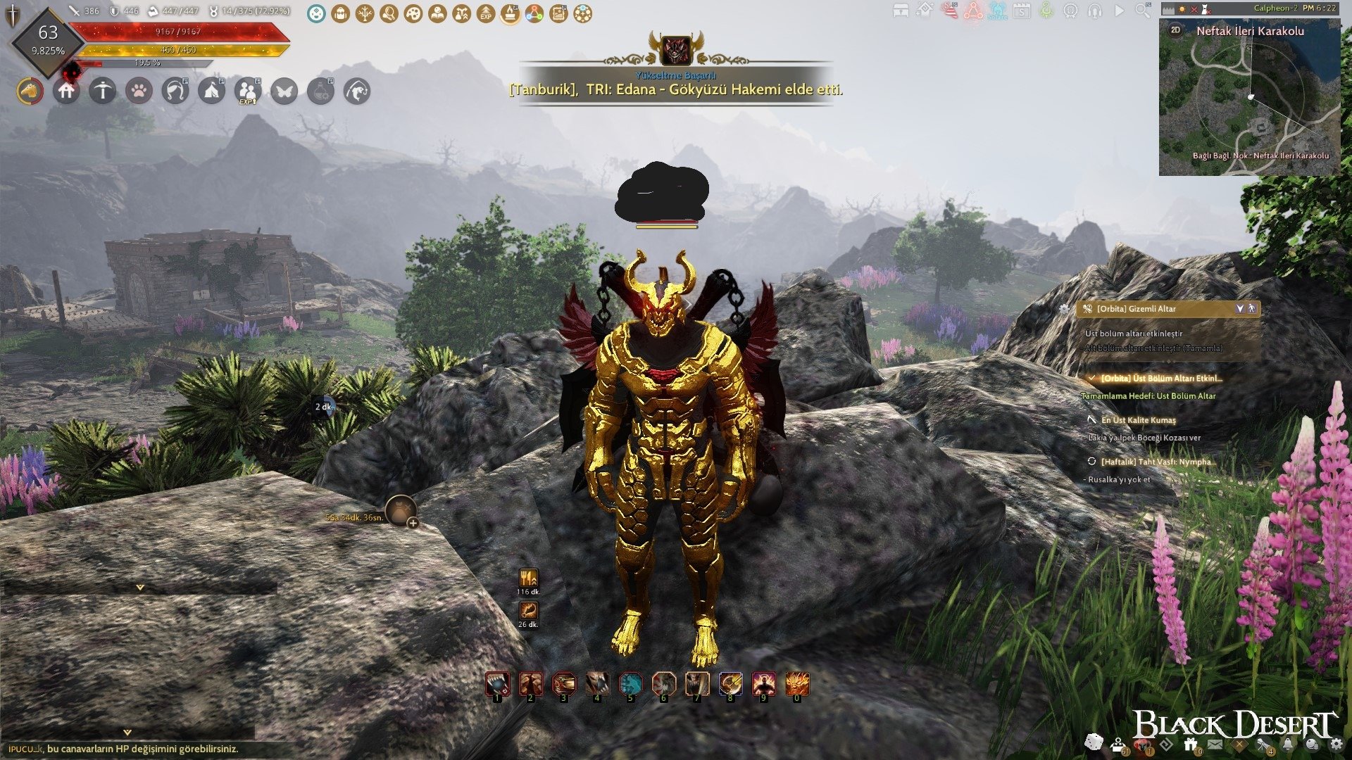 FULL P2W 386 ap 446 dp