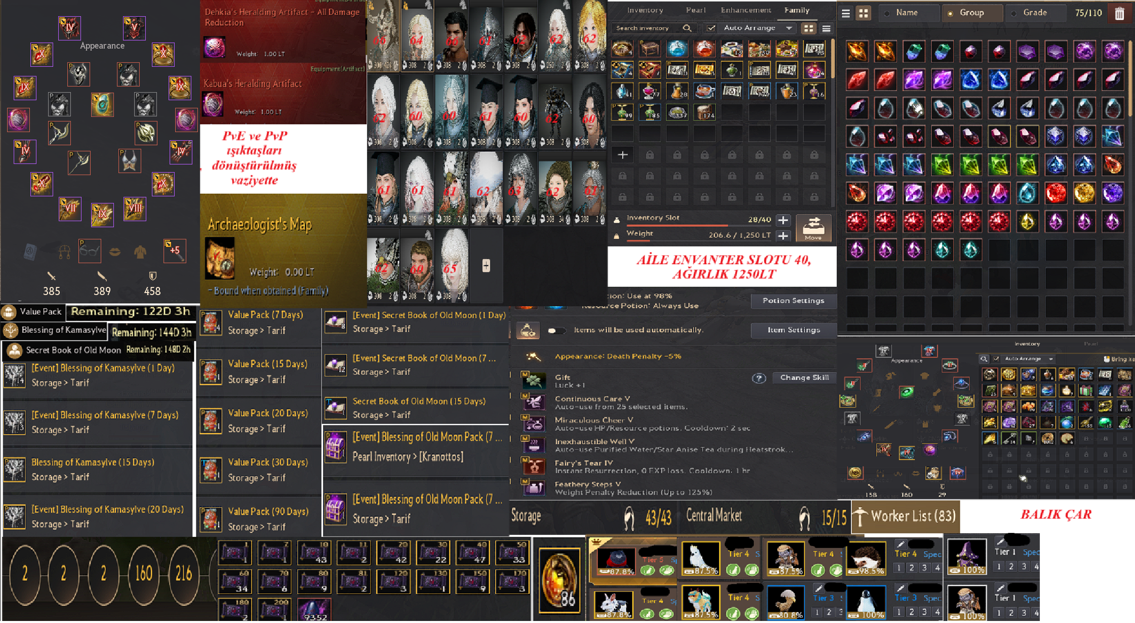 847GS *EU*389-AP/458-DP