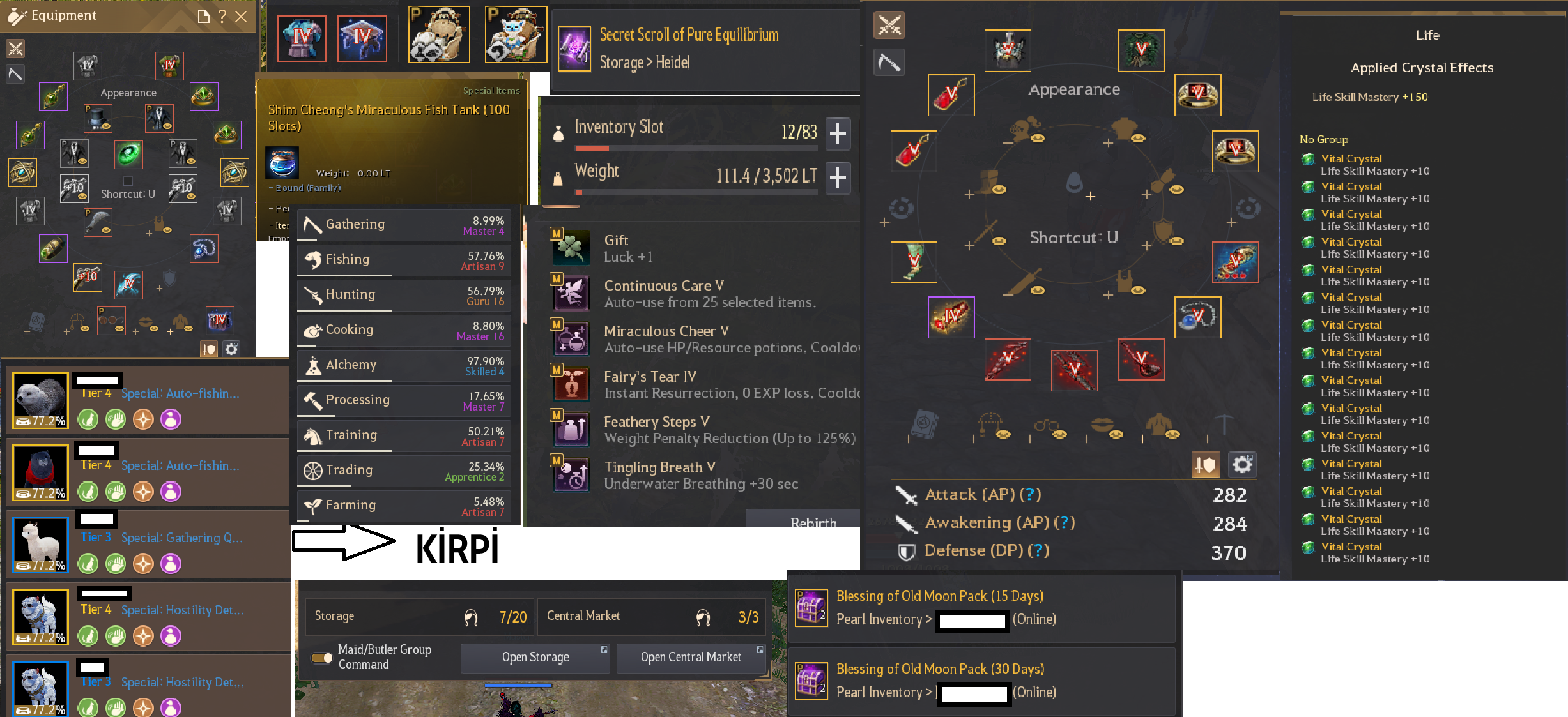 P2W'LERİ TAM LIFESKILL HESABI!