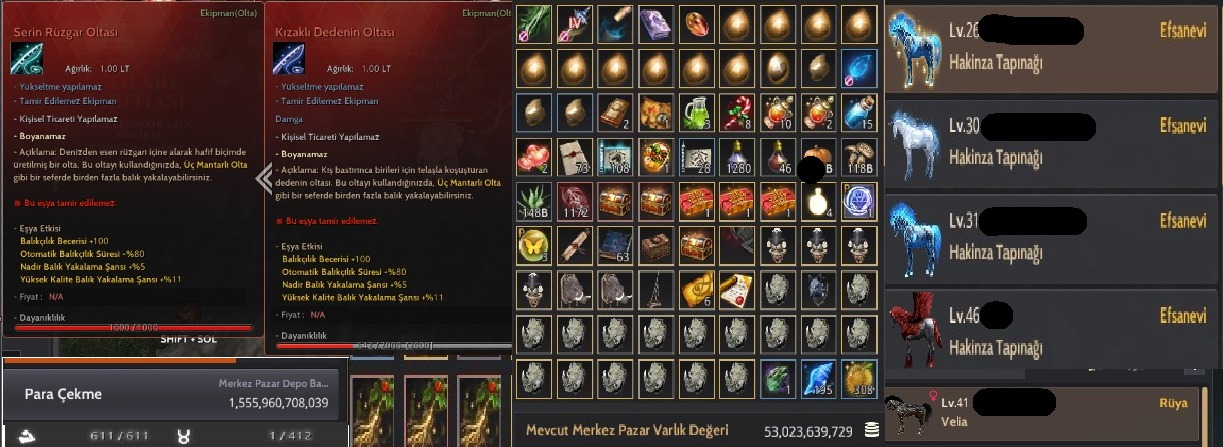 863GS FULL P2W HESAP