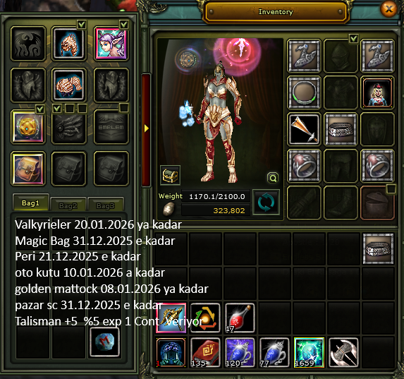 Zero 81 Lvl Priest Puslu uyguna