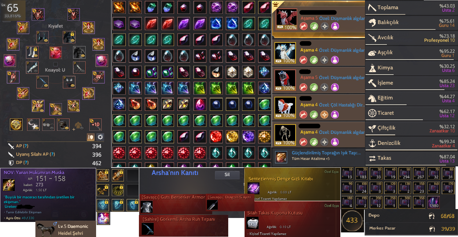 65Lv 856GS FULL DEC Arsha Kanıtı Endgame Hesap