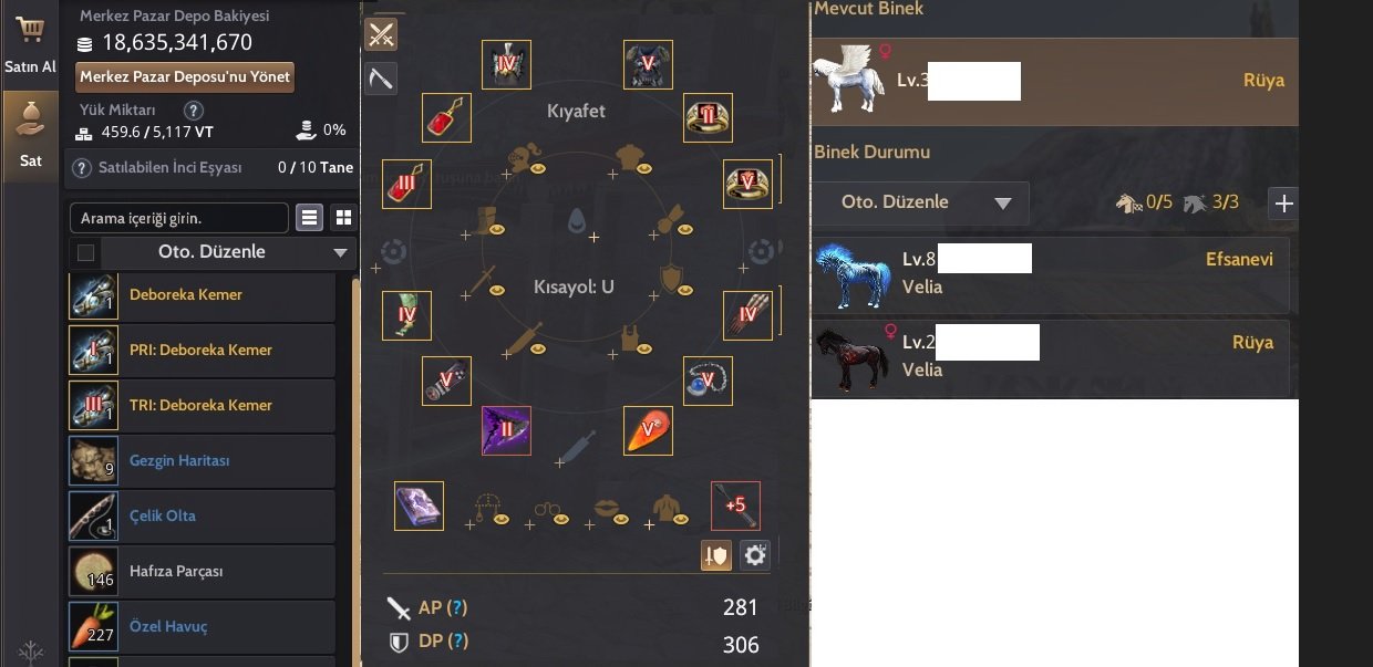 290 AP 61 LVL GUARDİAN MAİN.