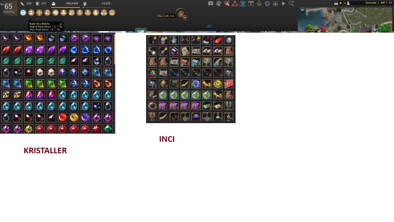 865 GS 65 LWL MAIL HESAP 2X SENTEZLI