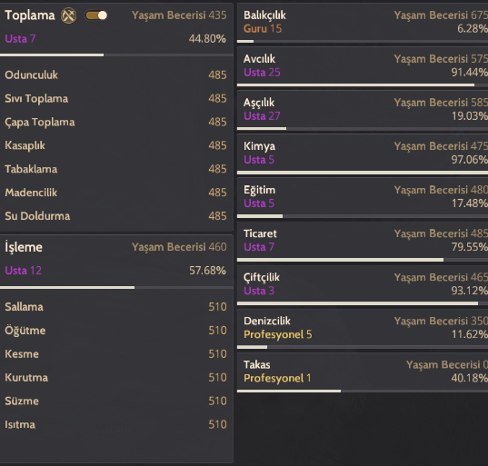 860 GS Mail Hesabı Mena