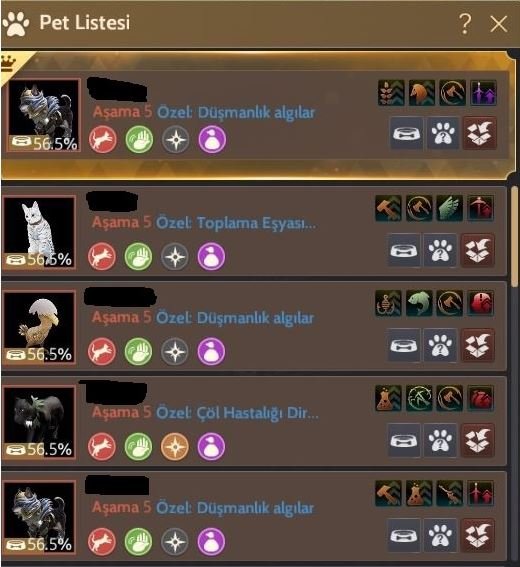 Maegu karakter 66 LVL