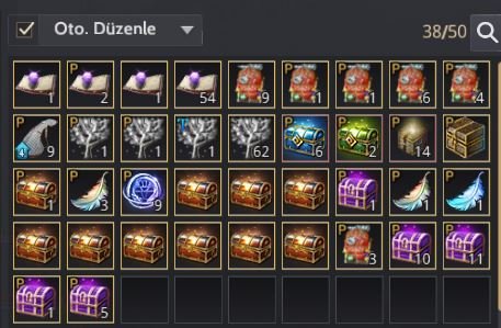 Maegu karakter 66 LVL