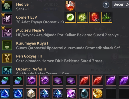 YENİ GELİŞİME AÇIK FULL GÖREVLİ P2W Lİ HESAP