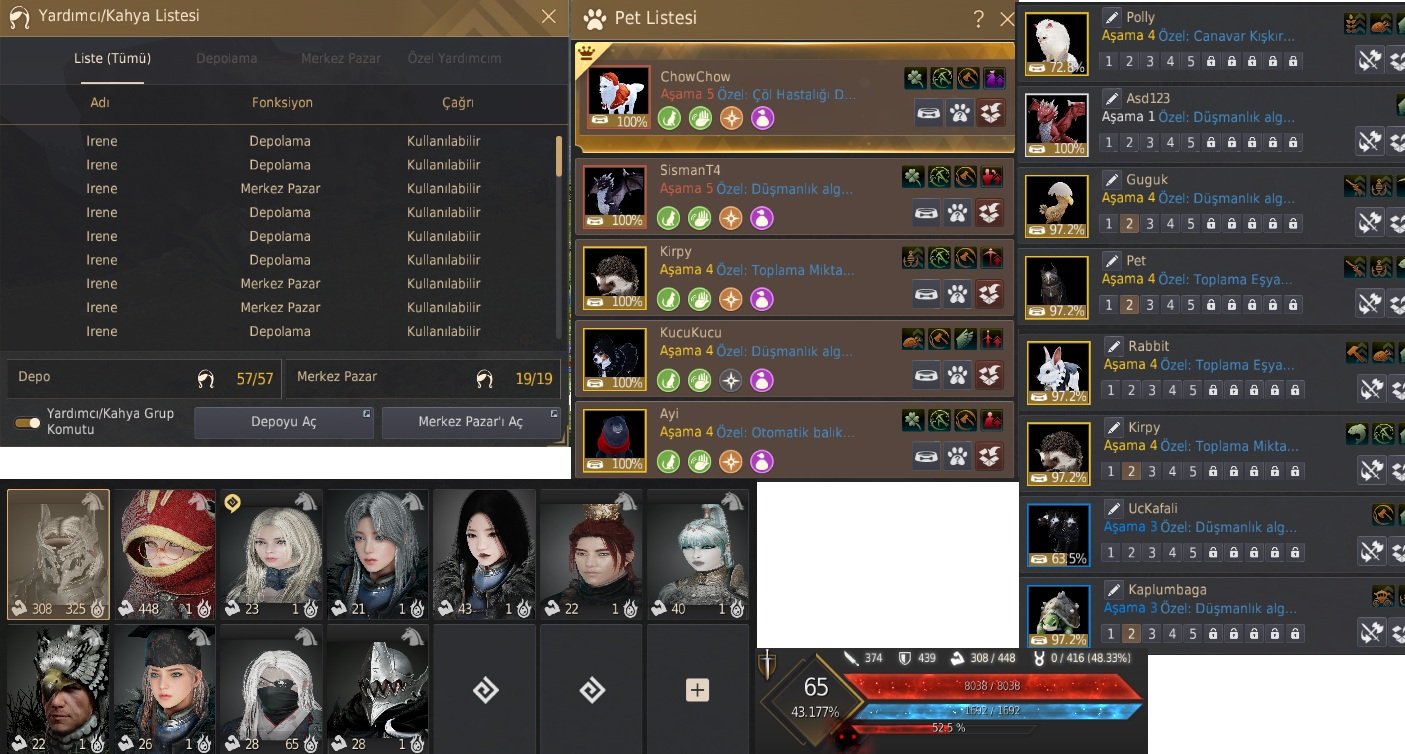 810 GS Full P2W Oynamaya Hazır Karakter