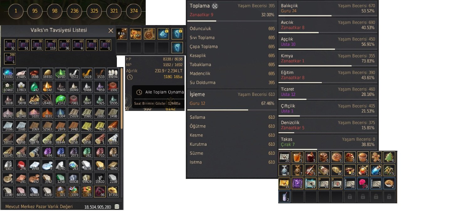 810 GS Full P2W Oynamaya Hazır Karakter