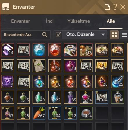 MENA 62 BERSERKER 774 GS 15 CHAR 61-62 LVL OYNANABİLİR SEVİYEDE P2W!!