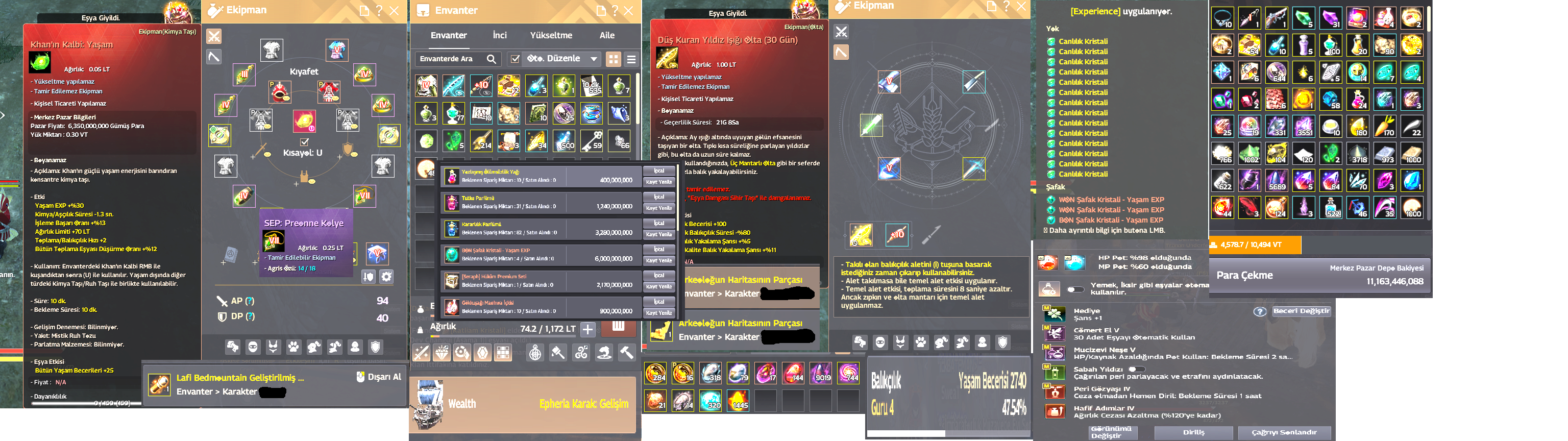 861GS FULL LIFE SKILL