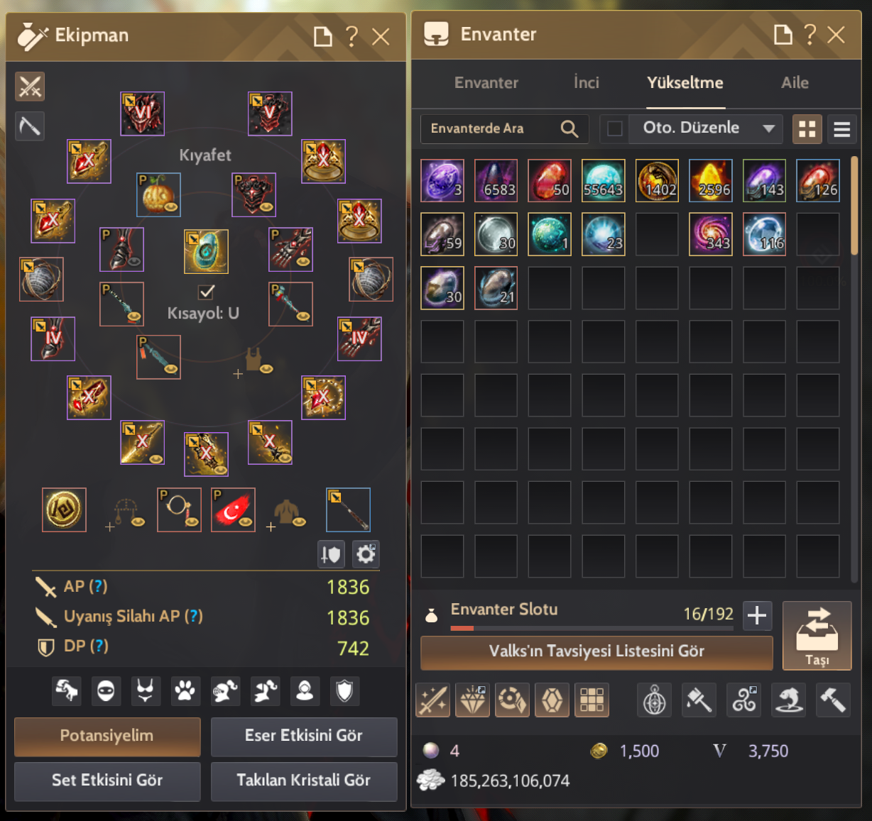 FULL DEC 2 ADET 66 LVL CLİENT