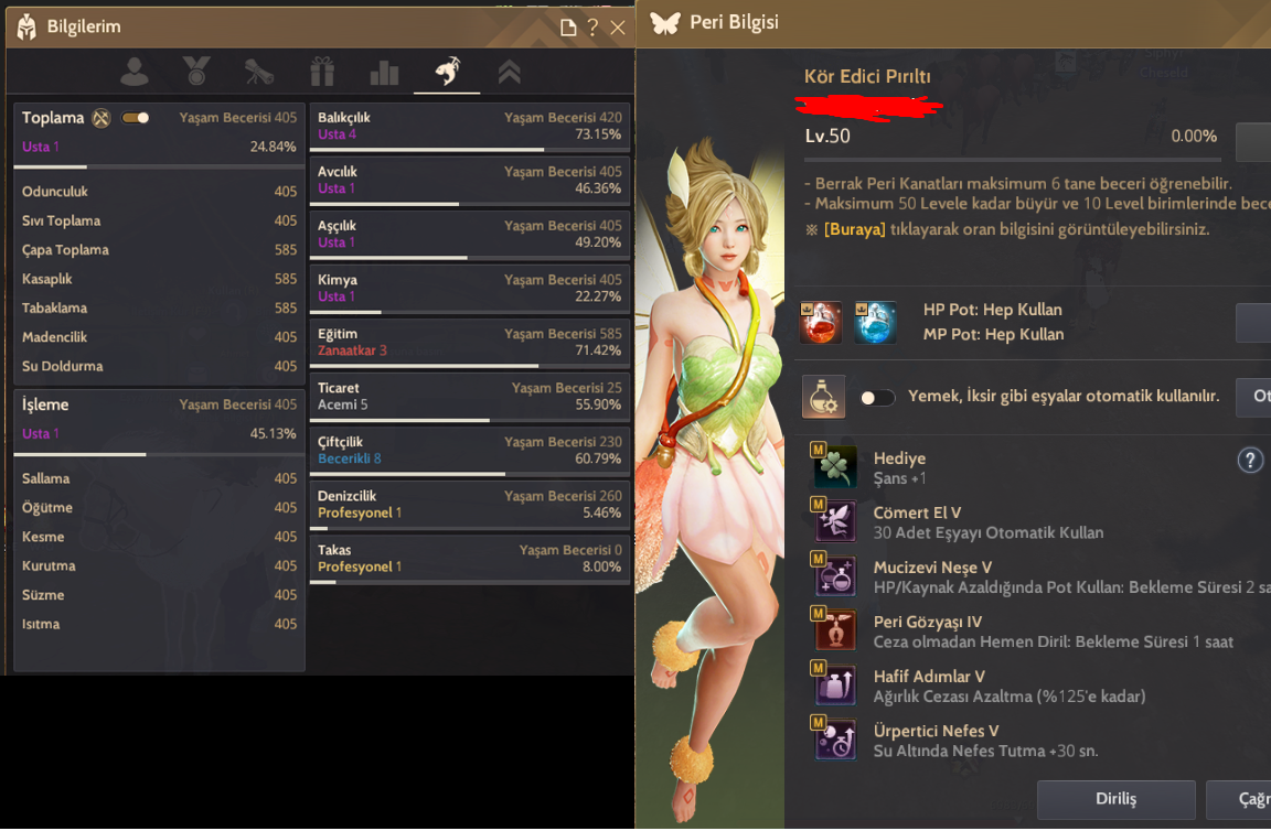 P2w Full Peri 372AP-428DP-800GS İlk mail Client hesabı