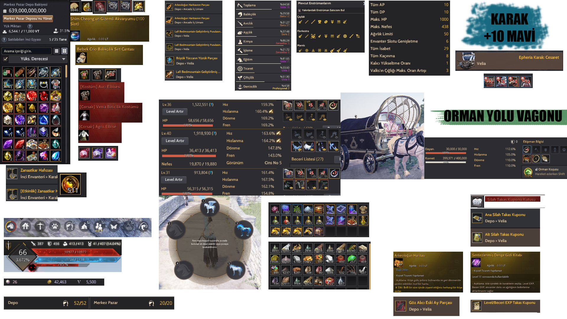 Dolu Dolu Hesap – 66/65/64 Lv – 640T – Full Peri, Full Pet, Karak 10 – Arkeolog Haritası