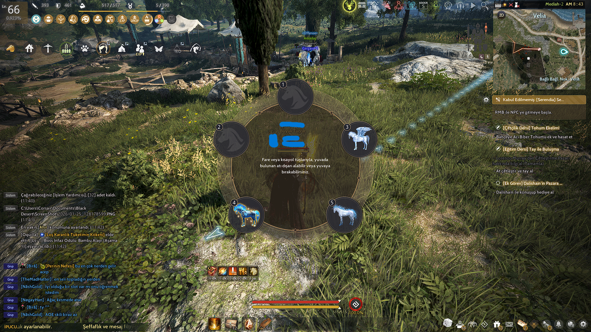 TÜCCARLI 393AP 461DP FULL FULL