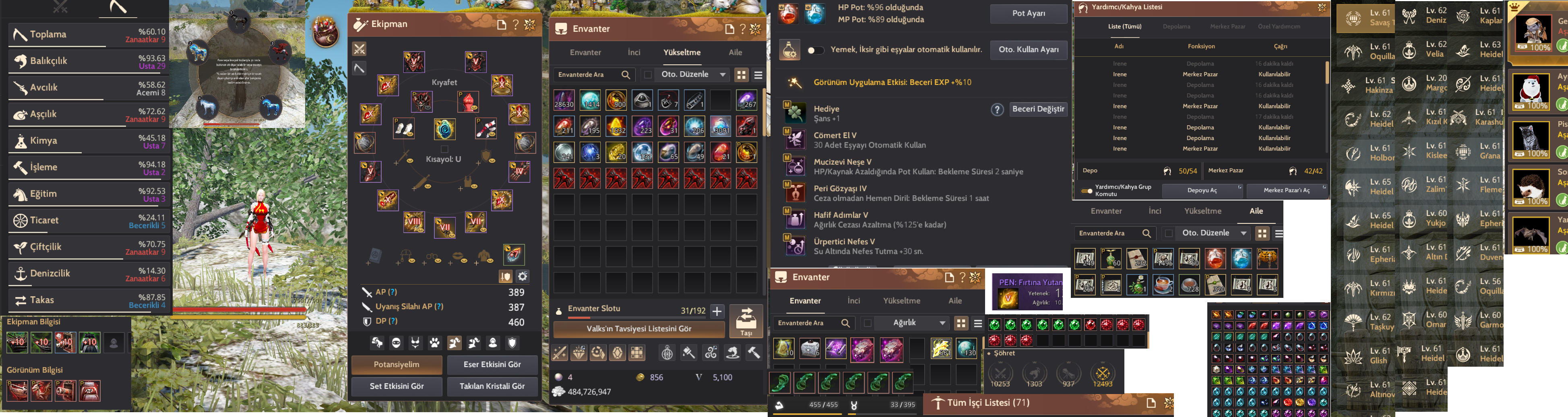 388-459 ( 847 GS ) Hesap