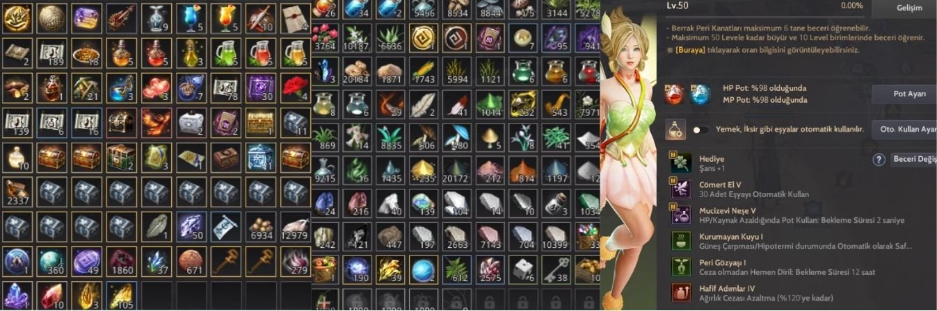 // 810 GS // P2W CADI // 2X T10 // CLİENT HESABI