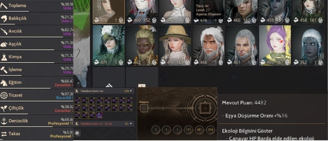 // 810 GS // P2W CADI // 2X T10 // CLİENT HESABI