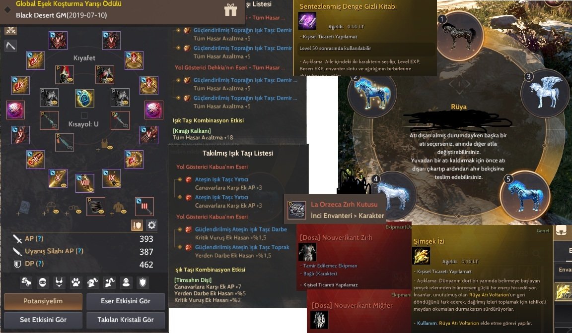 GÜNEŞ ŞOVALYESİ KOSTÜM/ÜNVAN 855 GS / 393 AP FULL PEN ZIRH