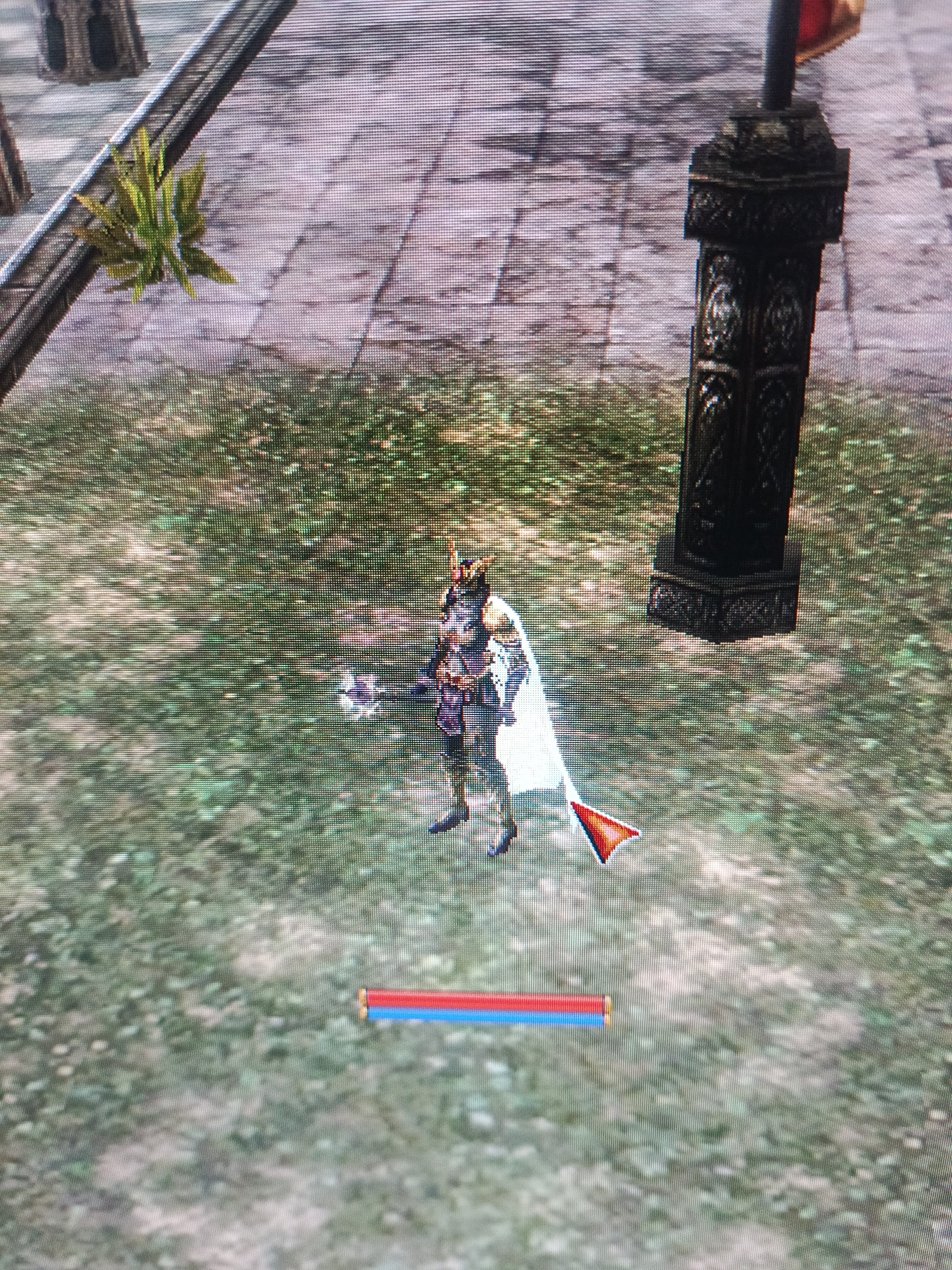 83/5 karus kız mage 5 milyon np