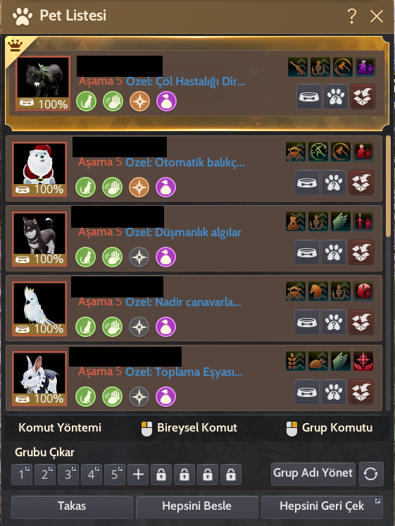 8567 GEAR FULL P2W HESAP