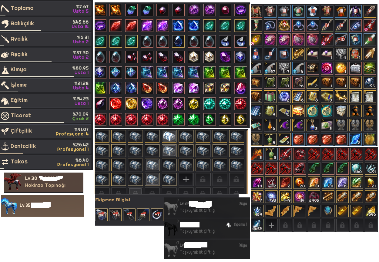 852 GS FULL PVE & PVP HAZIR ACCOUNT HESAP