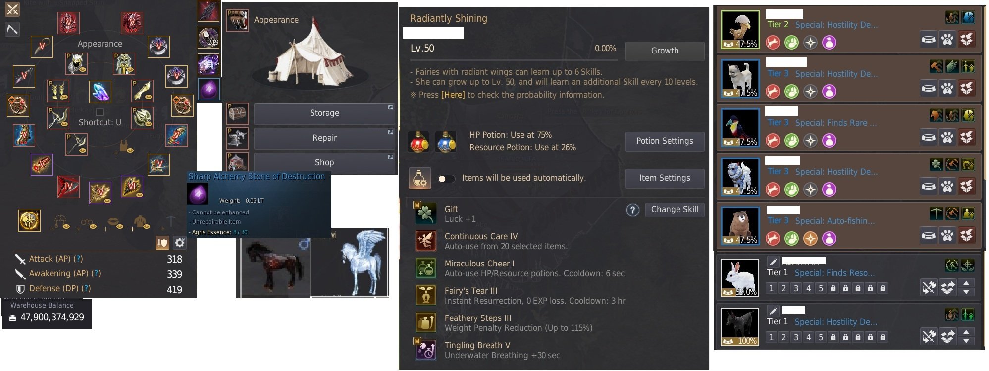 ANONİM 761 GS 50 B Paralı Çadırlı