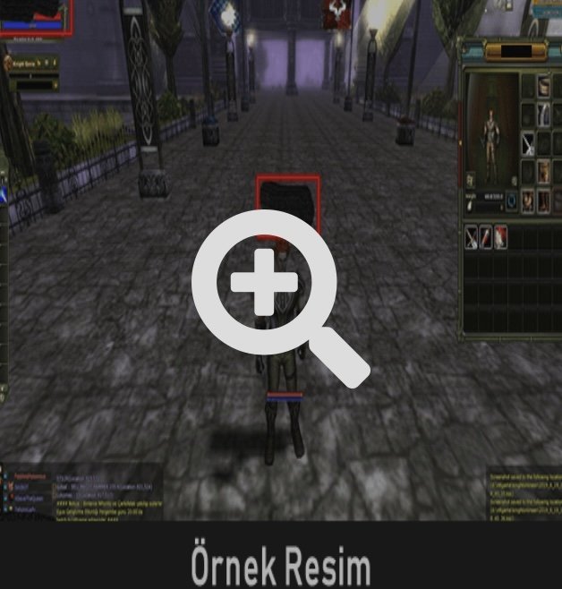 80 lvl full pus okçu ve 62 lvl int bp priest