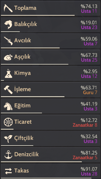 850 GS TÜCCARLI HESAP