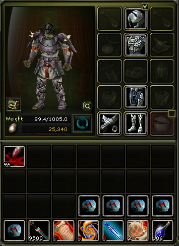 81 lvl % 3 karus rogue