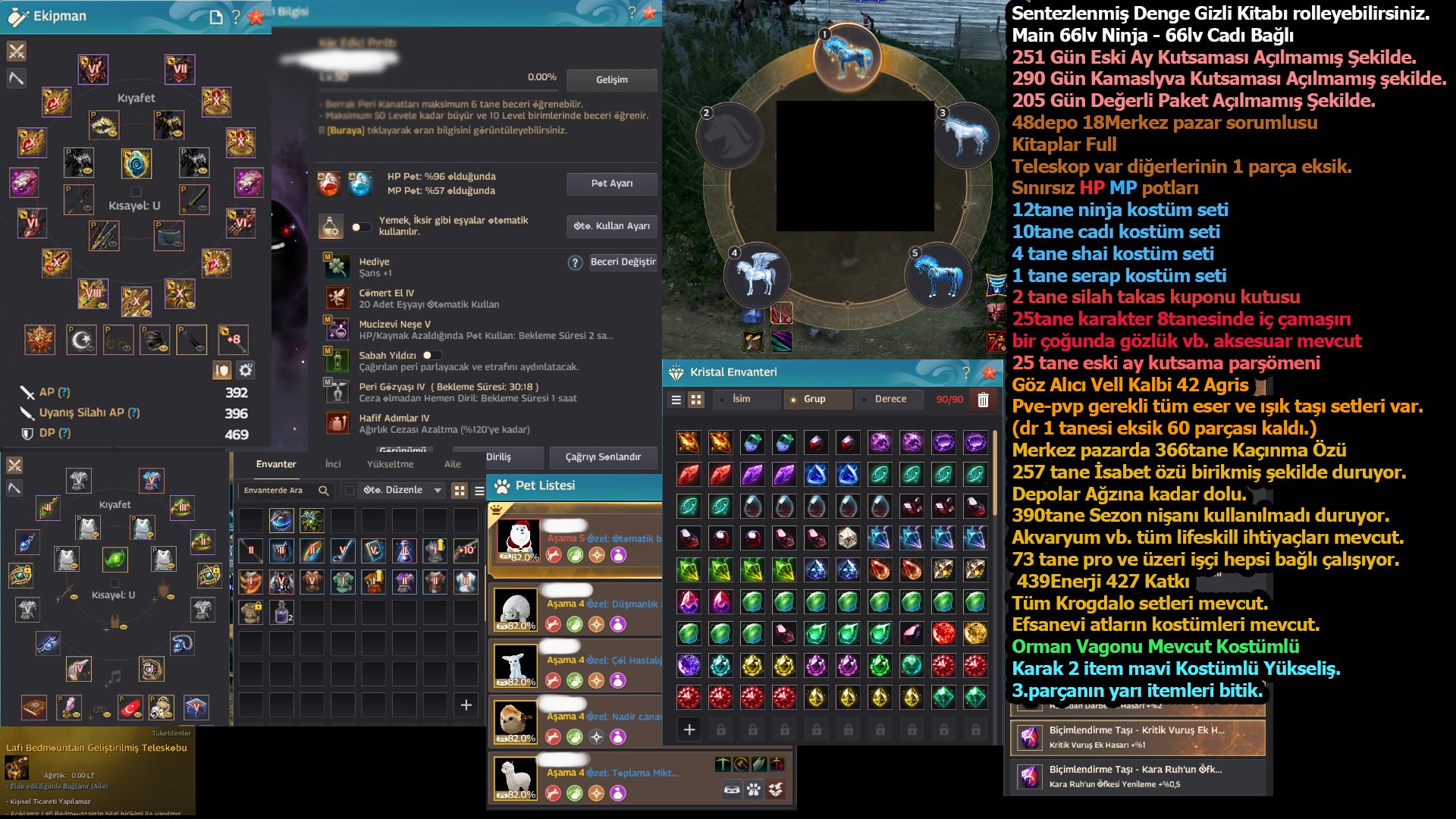 861 GS - 396AP/469DP CLIENT