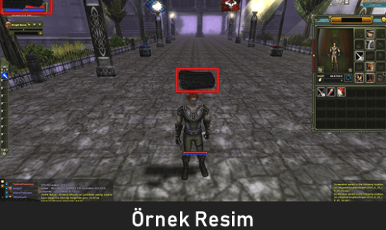 reb 11 warrıor human full skıll 7 quest ms 7 dragon set hazırrr old takılı