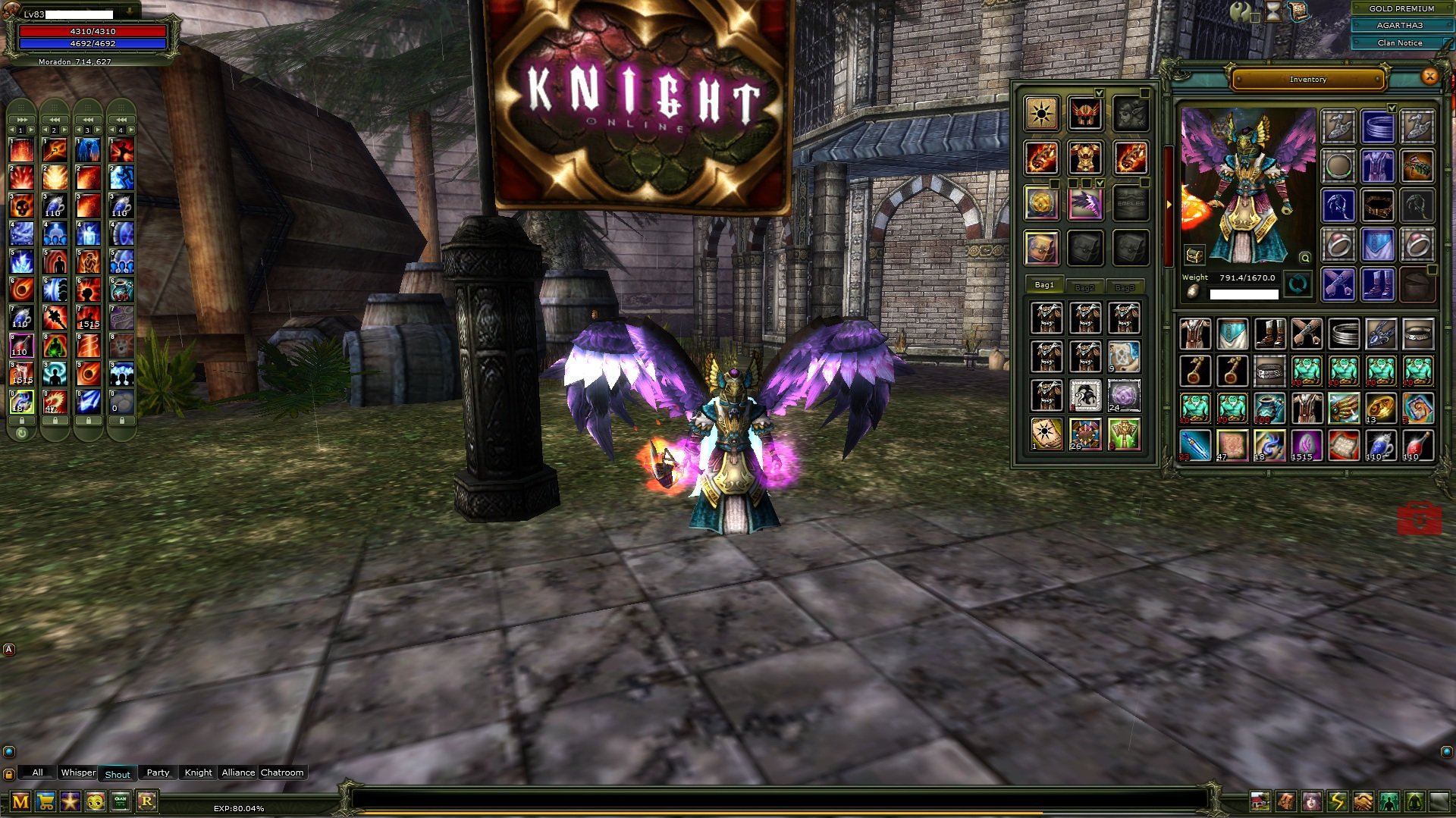 İtemli Full Puss Pre 83 Mage