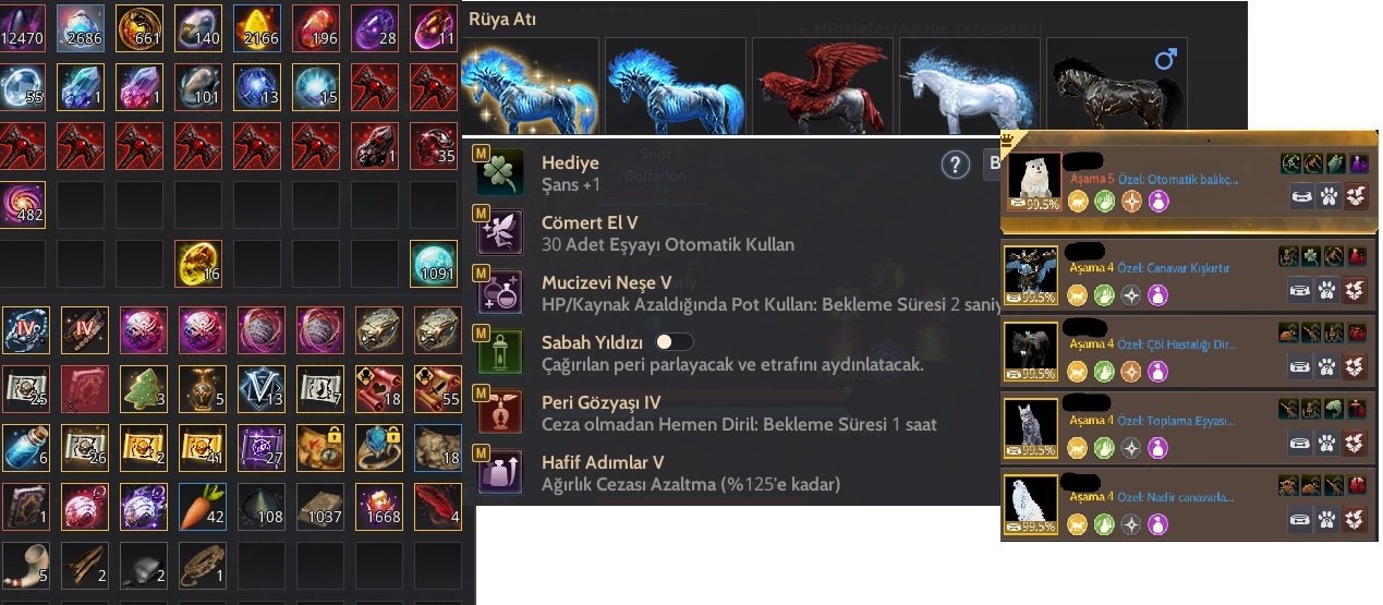 TRMENA - 853 GS - TÜCCARLI FULL P2W