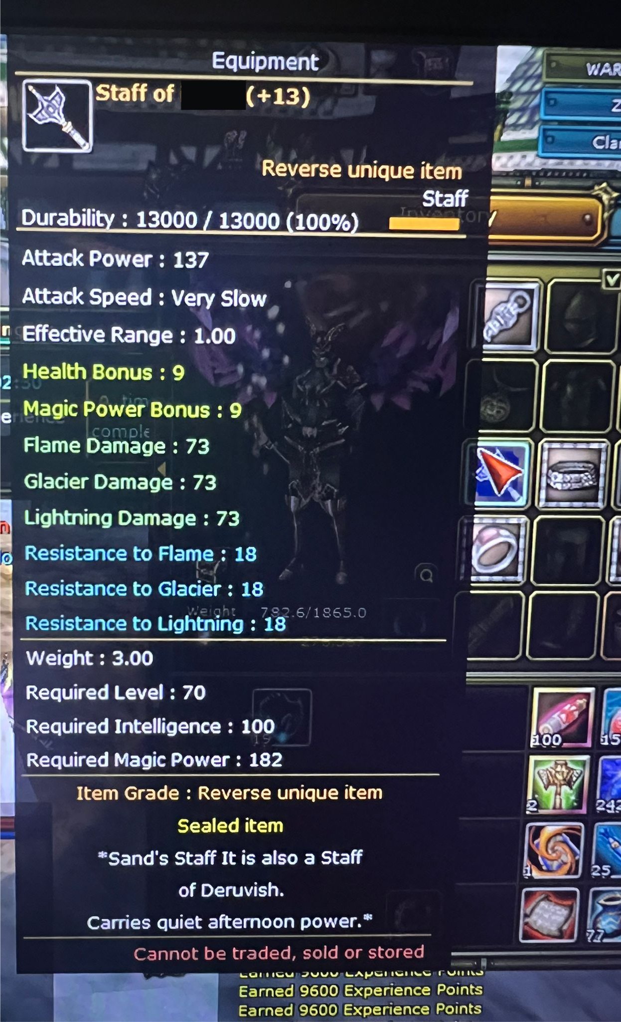 Zero 13 Quest Stafflı Mage