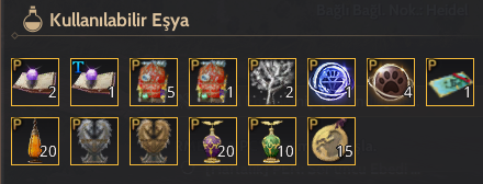 866 GS FULL X CLIENT HESAP HELAK ZIRHLI