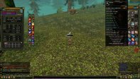 83/5 Lw 7 QUEST STAFF 830K NP 29 GUN GOLD PRE HUMAN MAGE