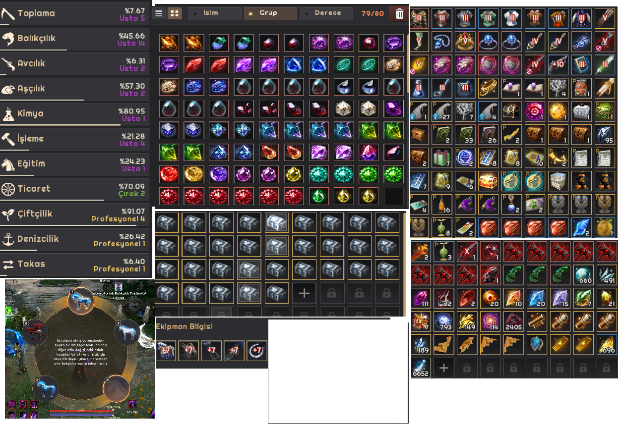 852 GS FULL PVE & PVP HAZIR ACCOUNT HESAP