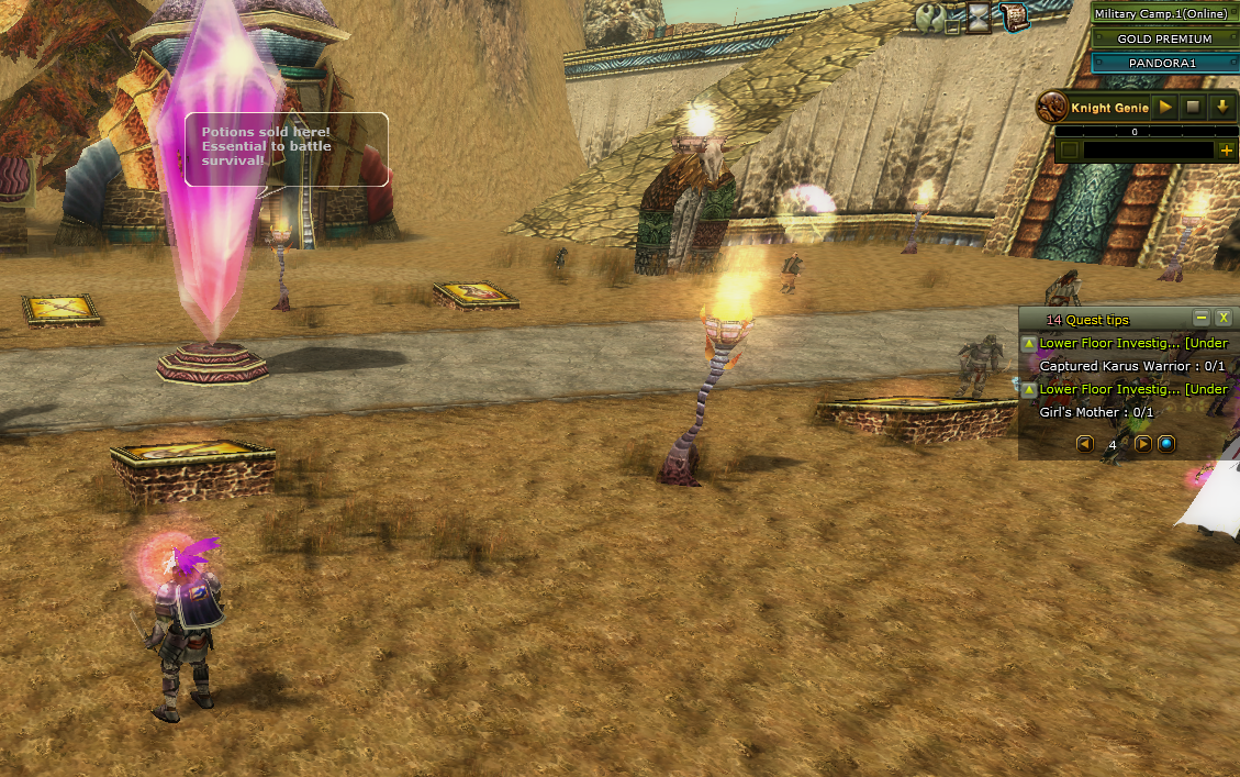 23 GÜN GOLD PRELİ VE PERİLİ 44 LVL OKCU